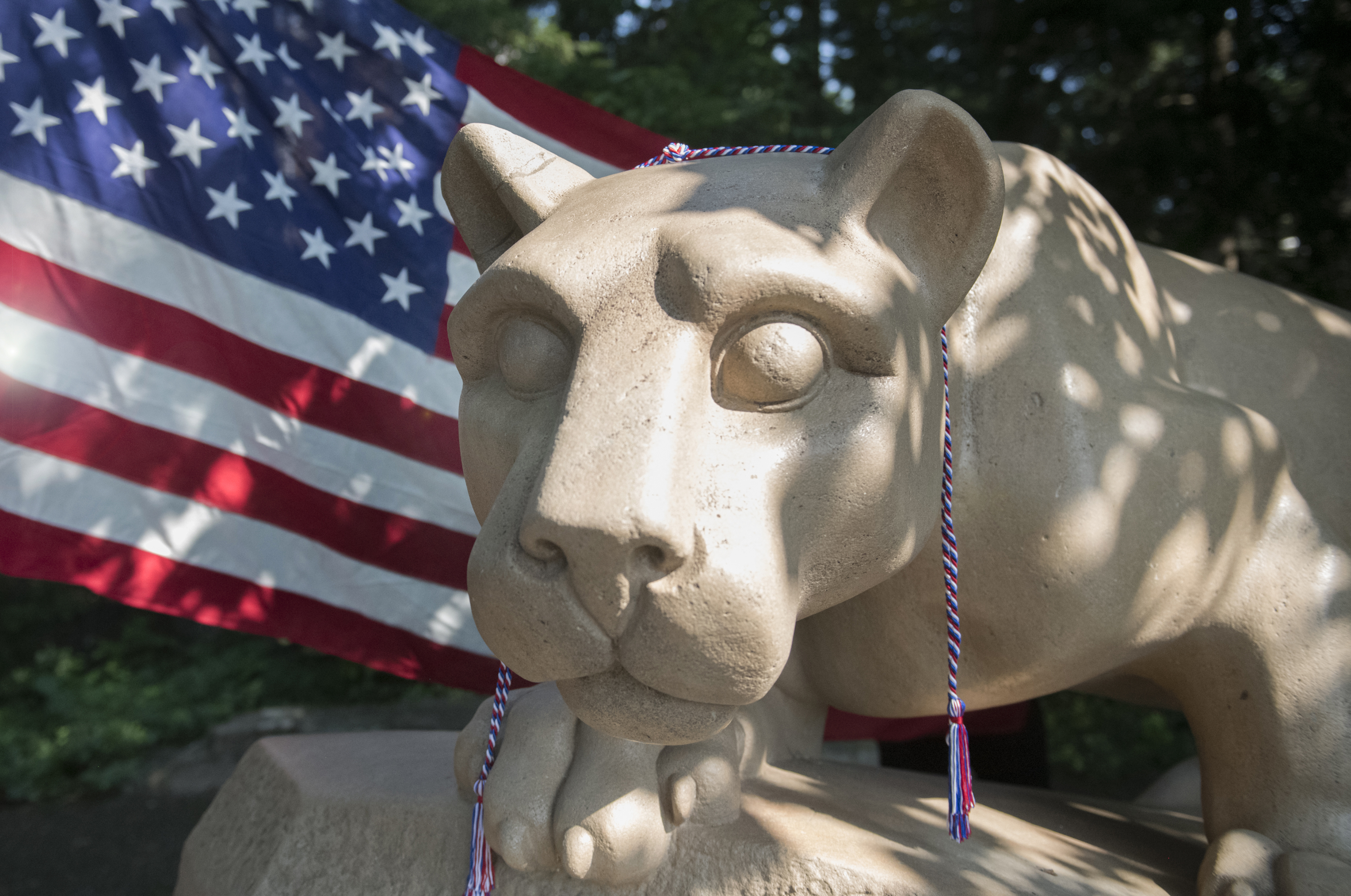 Lion shrine with flag